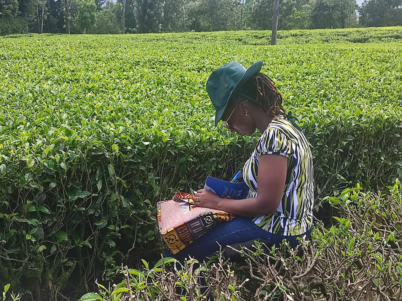 A tea picker in a farm in Central Kenya